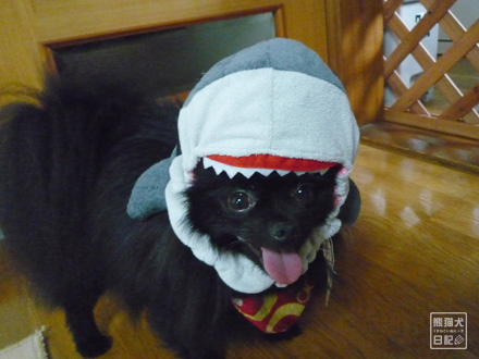 サメの帽子買ってもらったらしい