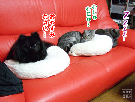 20101221_三兄弟睡眠6