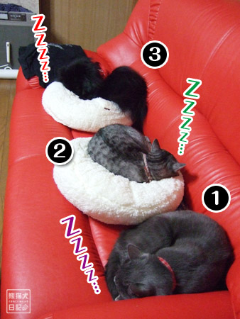 20101221_三兄弟睡眠7