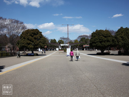 20110328_昭和記念公園2