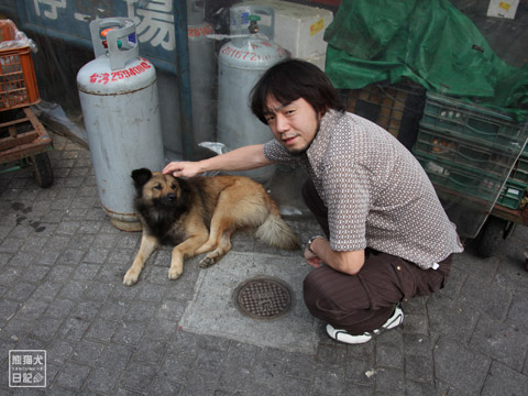 20120313_台湾の犬たち2