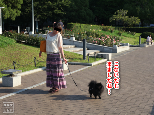 20130713_横浜探訪11