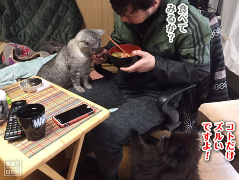 ネギトロ丼挟み撃ち 熊猫犬日記