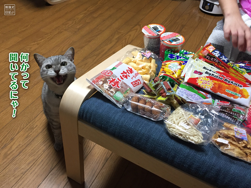 駄菓子と猫