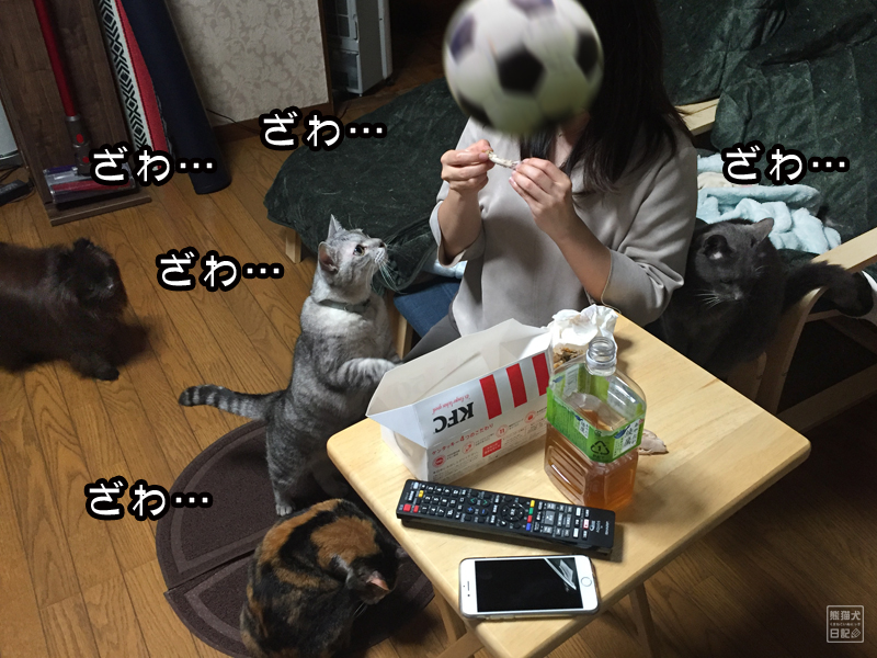 ケンタッキー騒動 熊猫犬日記