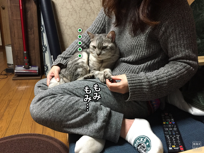 相変わらずのぐうたら猫 熊猫犬日記