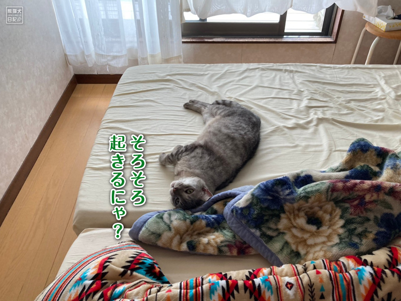 目覚めて最初に目にする光景 熊猫犬日記