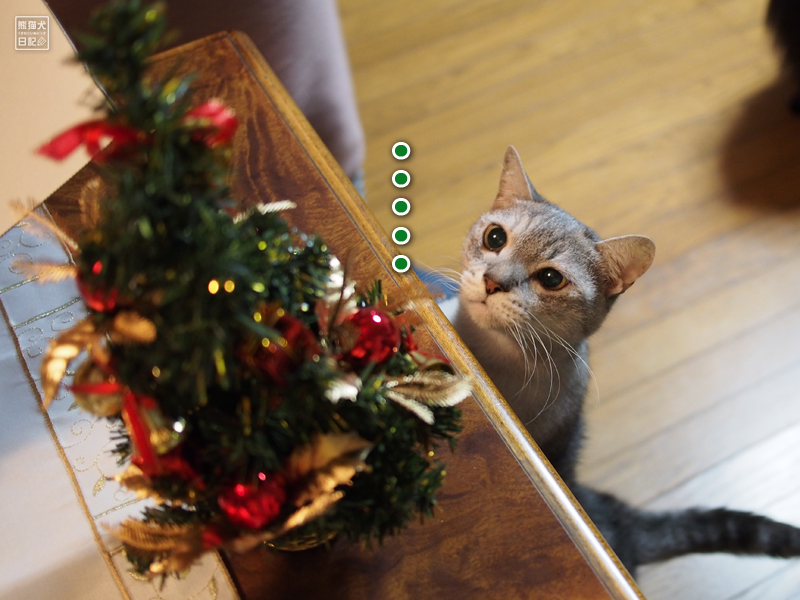 アクシデントで始まるの聖なる夜の宴 X Mas Vol 2 熊猫犬日記