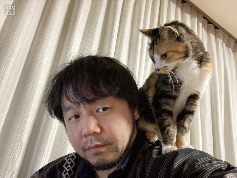 肩乗り猫でもう少しお待ちください  熊猫犬日記