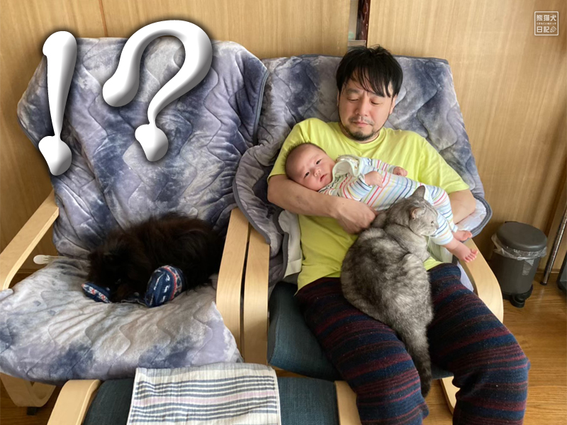 赤ちゃんと猫