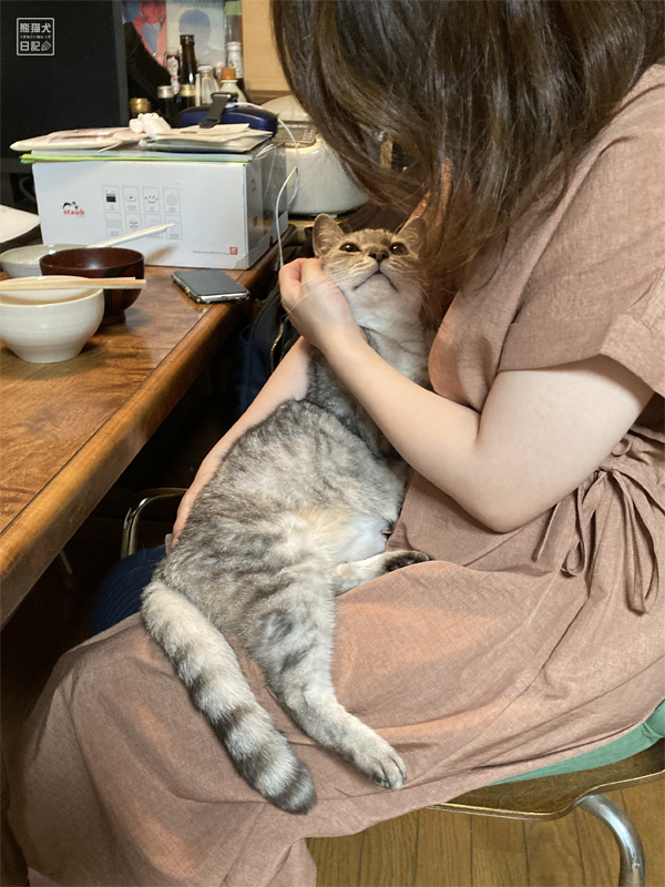 想定外の回り道 寿喜の定期検査の結果報告 熊猫犬日記