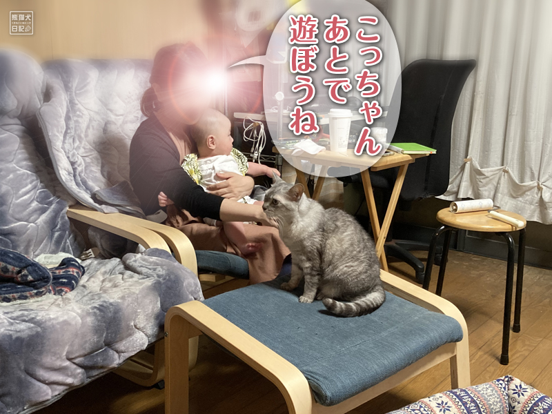 赤ちゃんと猫の攻防