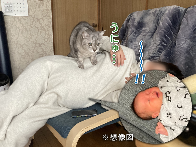 妊婦と猫