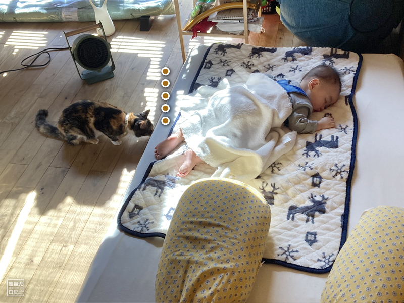 赤ん坊と三毛猫