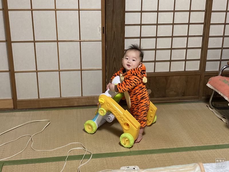 生後10ヶ月の赤ん坊でもう少しお待ちください 熊猫犬日記