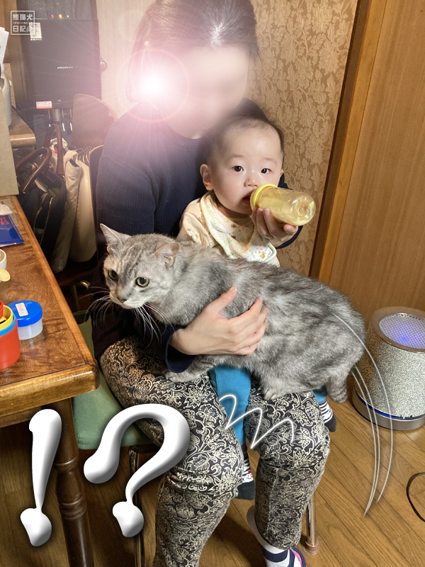 天然猫と赤ん坊