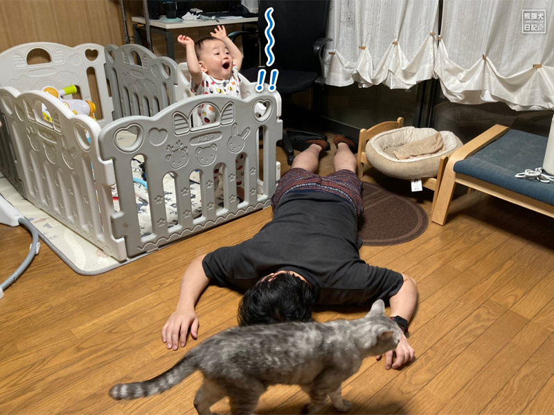 赤ん坊と猫と父親