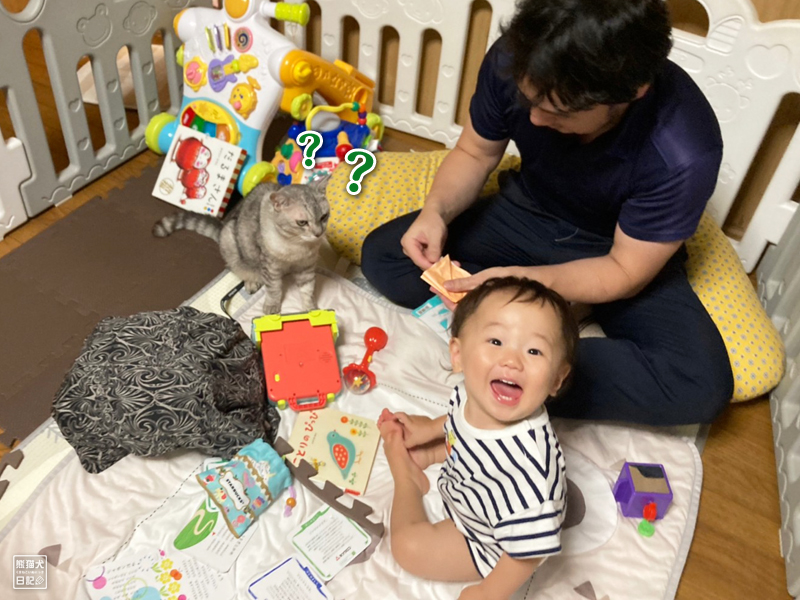 猫と赤ん坊と折り紙