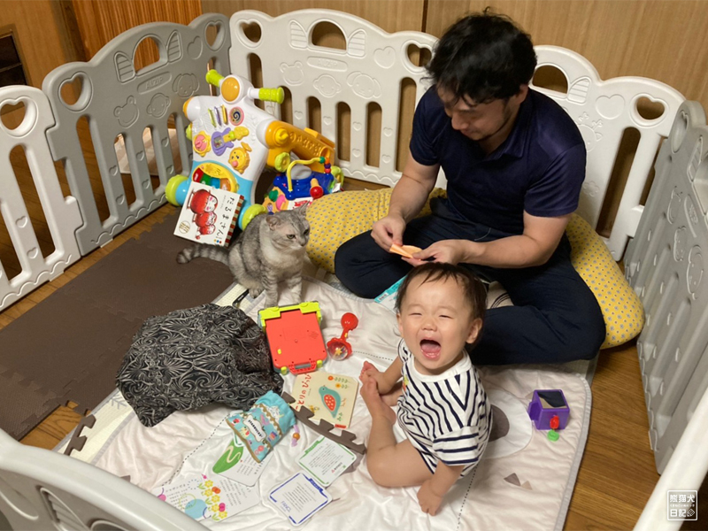 猫と赤ん坊と折り紙