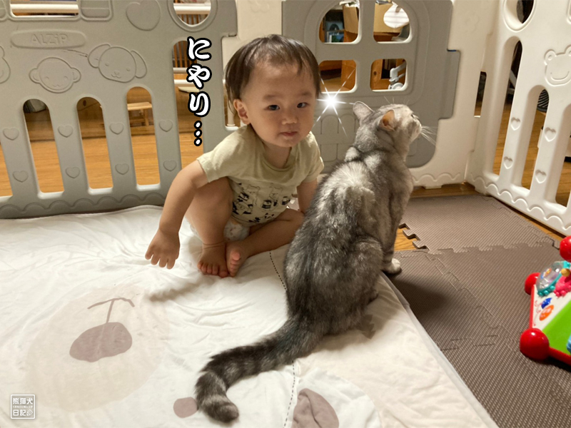 猫と一歳児