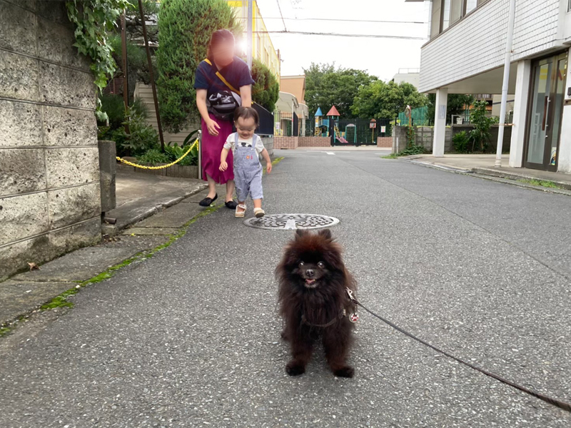 だるまさんが転んだ 地元の神社で３年ぶりの夏祭り 後編 熊猫犬日記