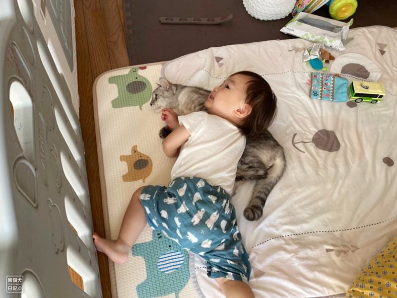 猫と赤ん坊