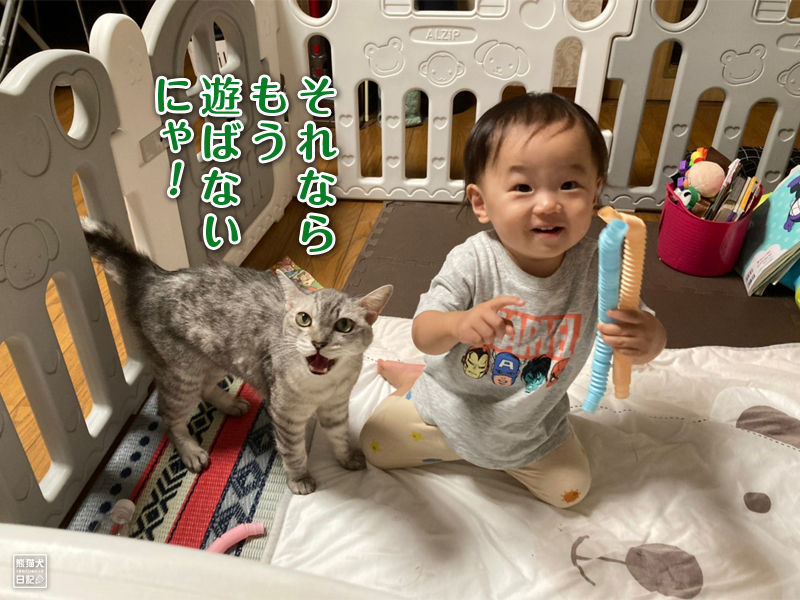 猫と幼児とジャバラ