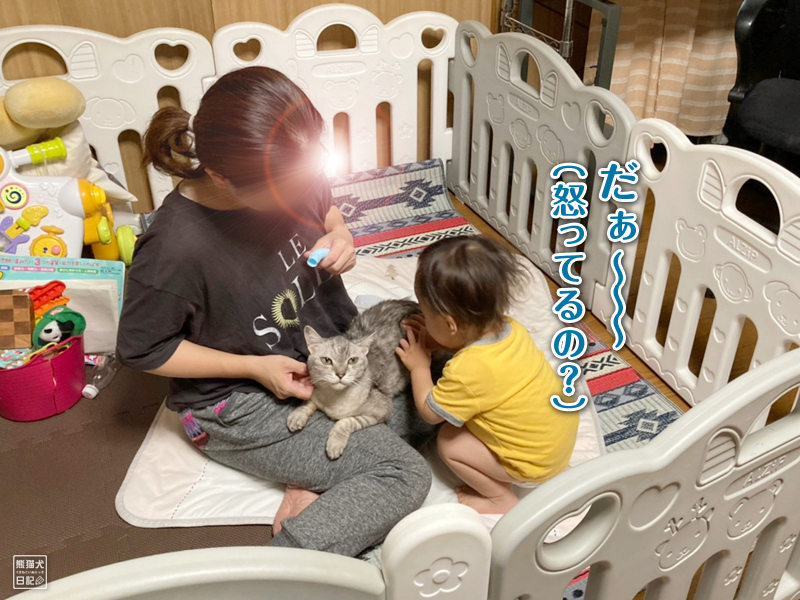 猫と幼児