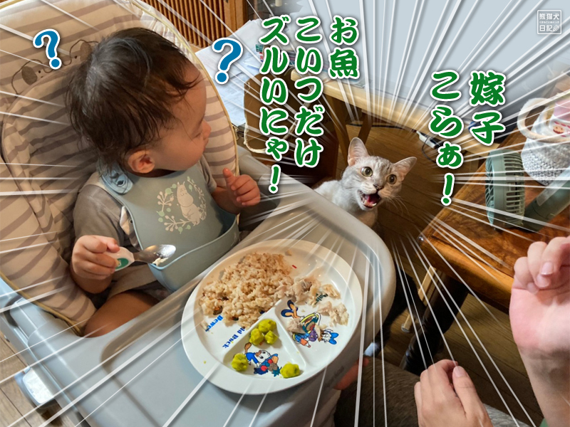 一歳児の食事と怒り猫