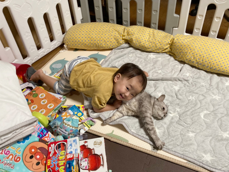 猫枕と一歳児