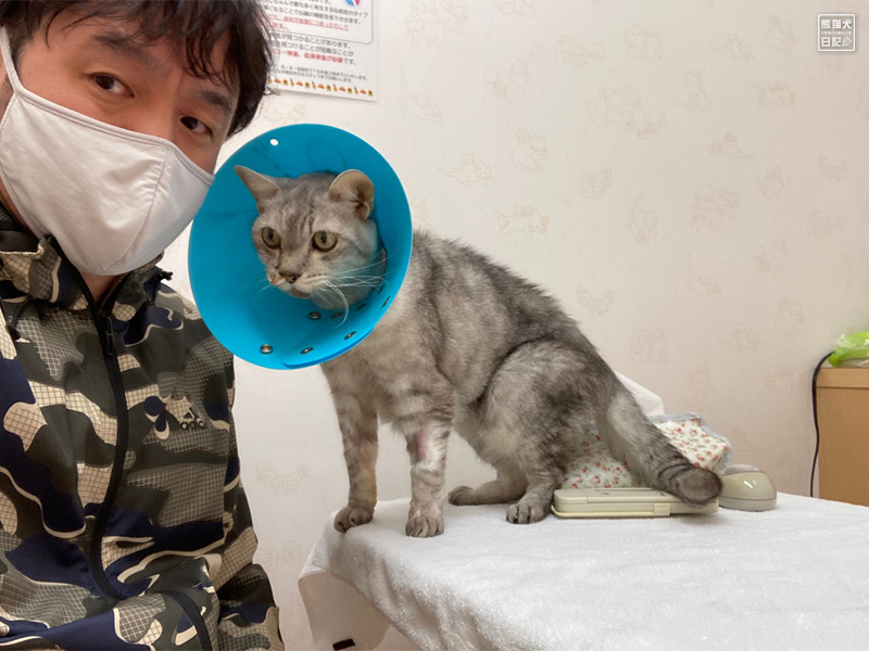 猫の緊急入院