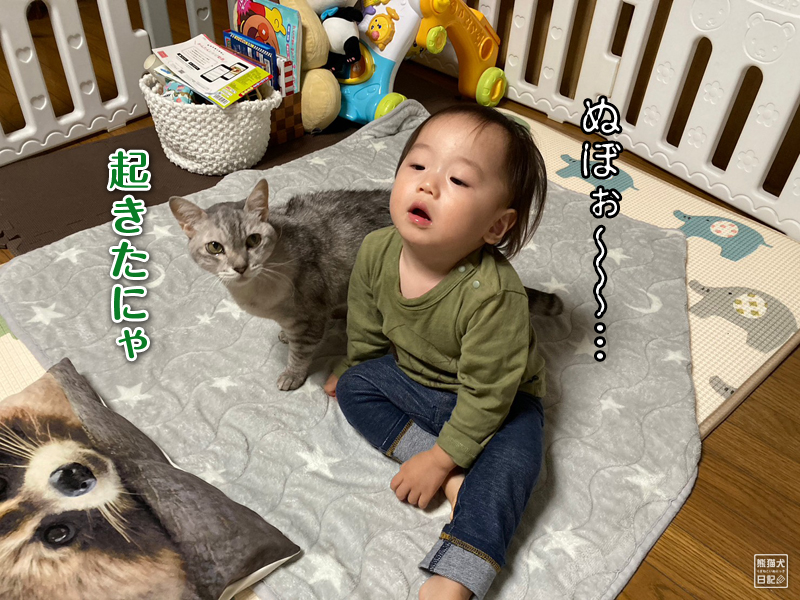 猫兄と一歳児