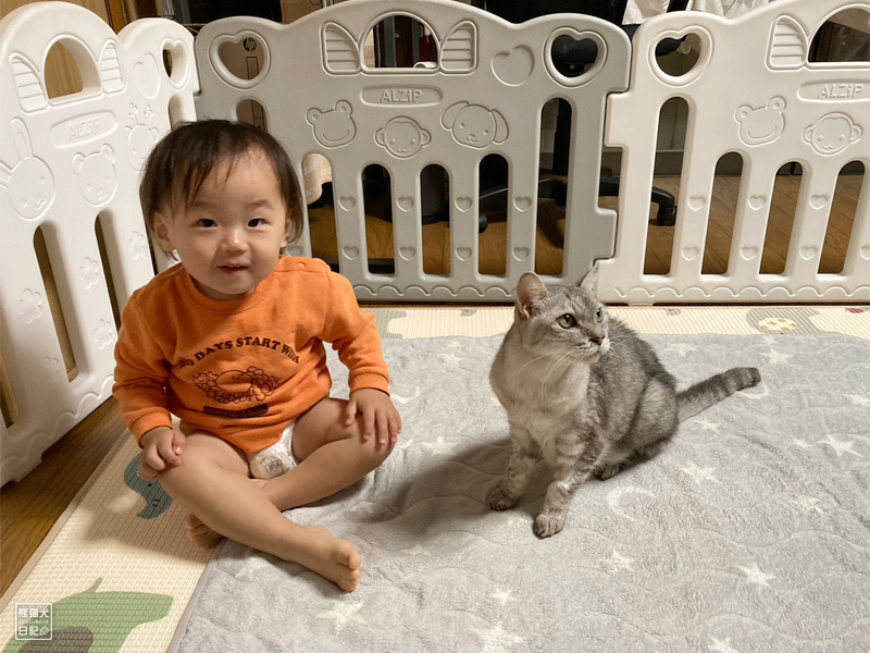 猫兄と一歳児