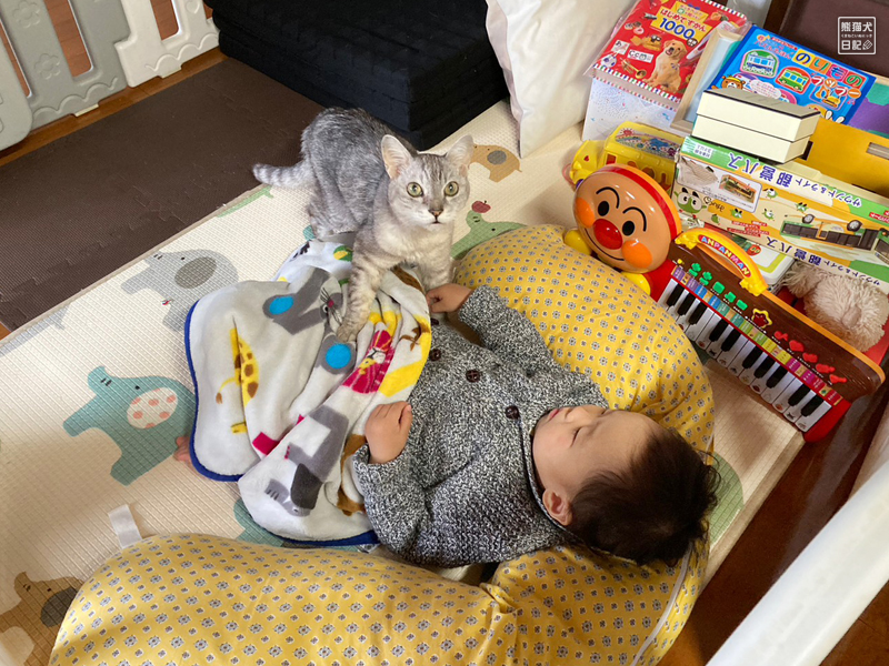 眠る幼児と起こす猫