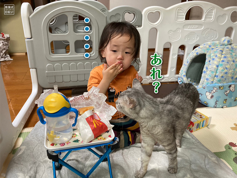 二歳児と猫とマクドナルド