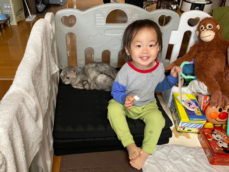 天然猫と二歳児