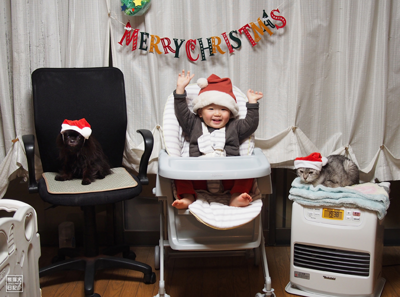 一歳児と犬猫とのクリスマス