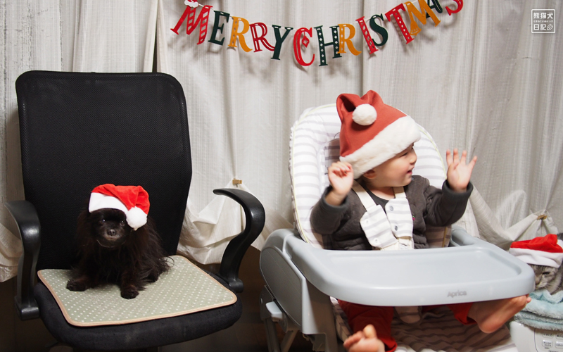 一歳児と犬猫とのクリスマス