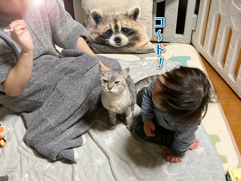 天然猫と一歳児