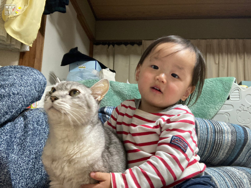 天然猫と一歳児