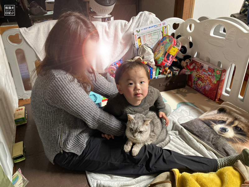 母と一歳児と天然猫