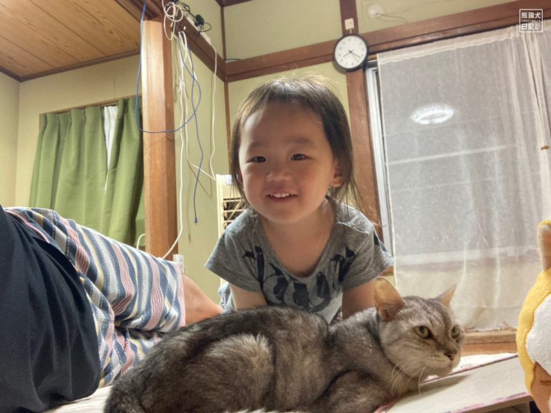 二歳児と天然猫