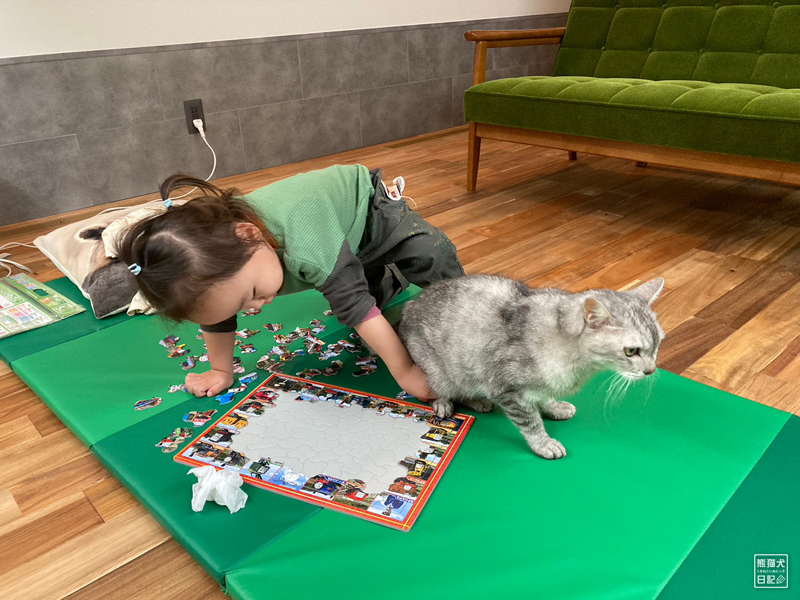 二歳児と天然猫のジグソーパズル