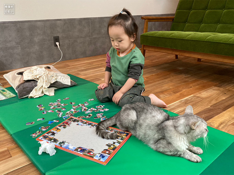 二歳児と天然猫のジグソーパズル