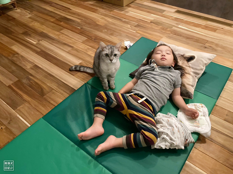 天然猫と二歳児
