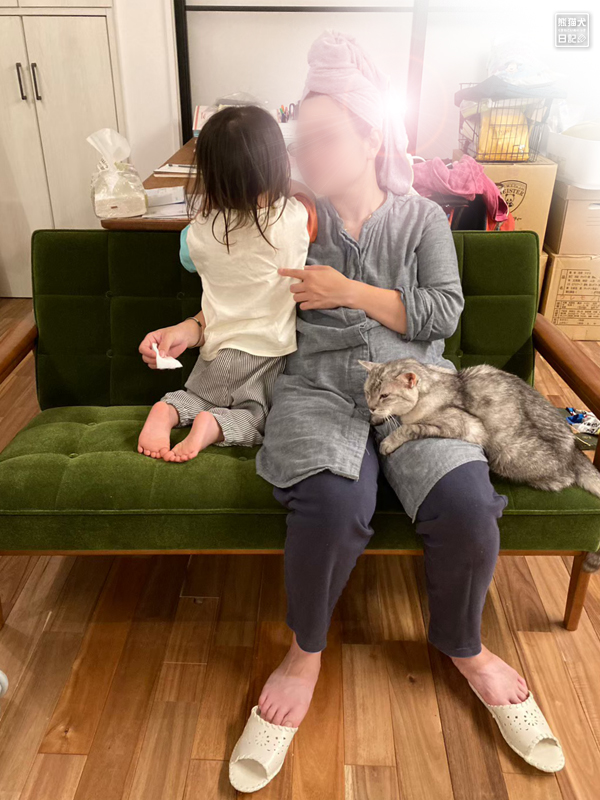 二歳児と妊婦と天然猫