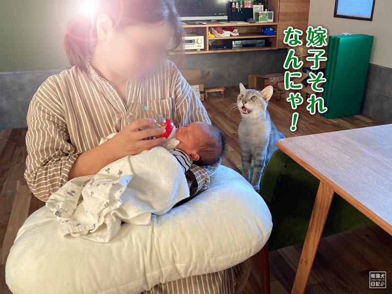 赤ん坊と天然猫