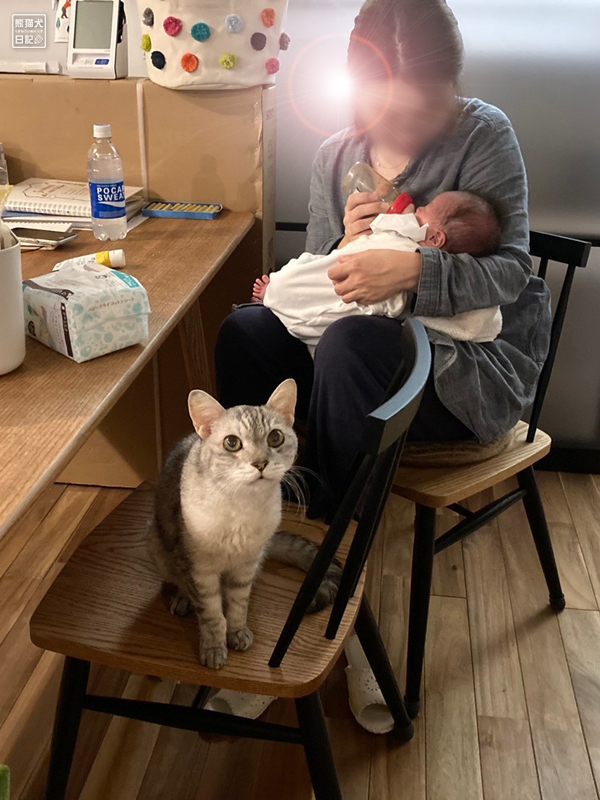 天然猫と新生児