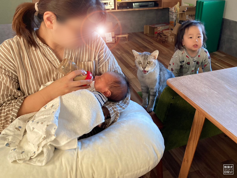 新生児と猫と二歳児