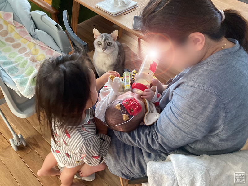天然猫と二歳児と乳児